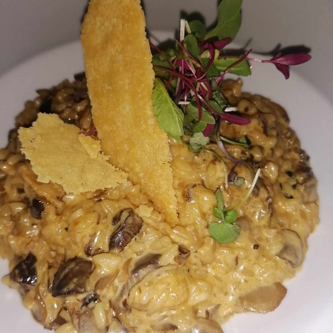 risotto de hongos