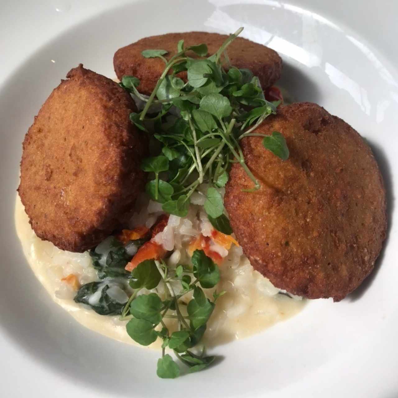 Falafel con Risotto 