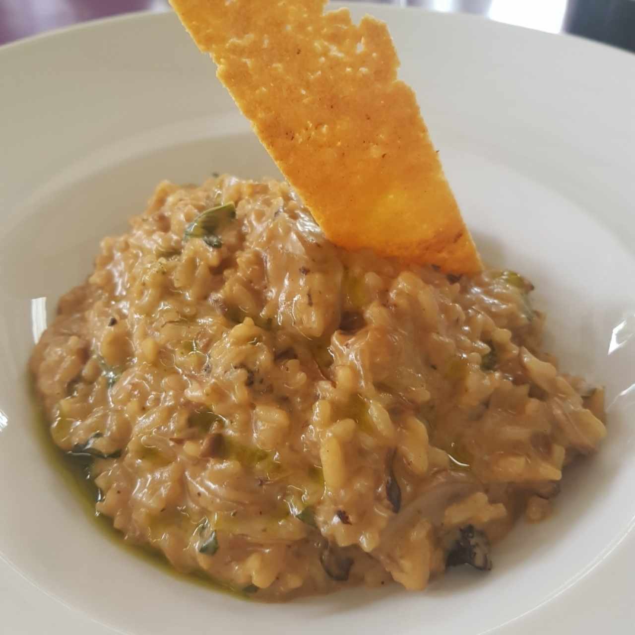 rissotto de hongos silvestres