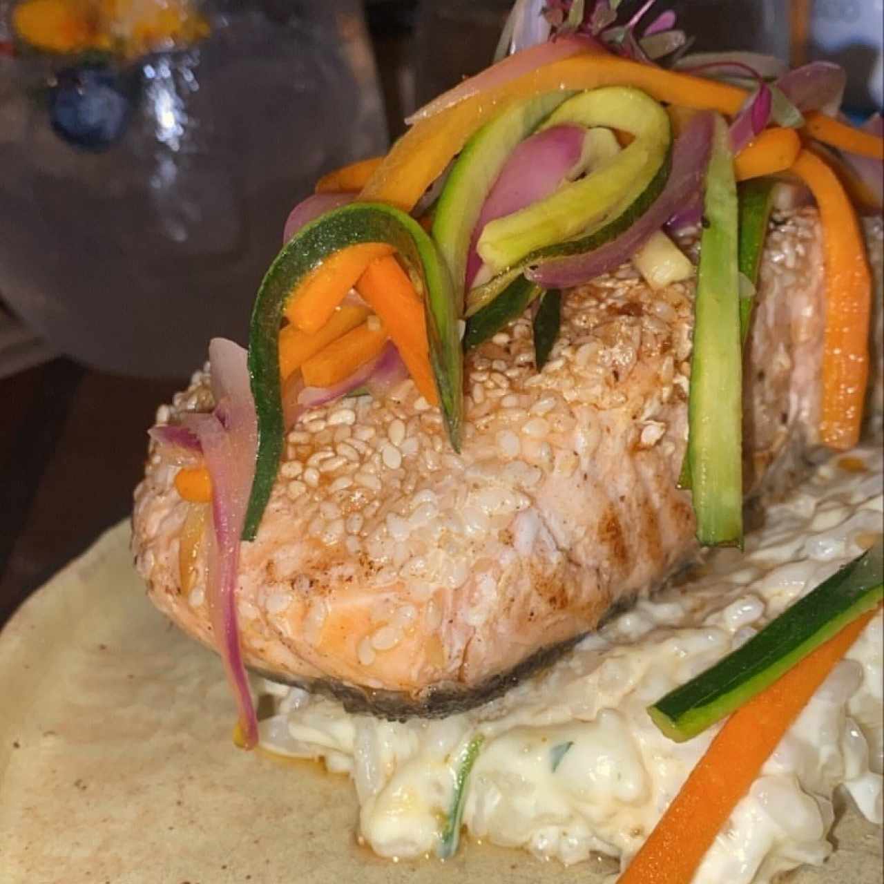 Salmon