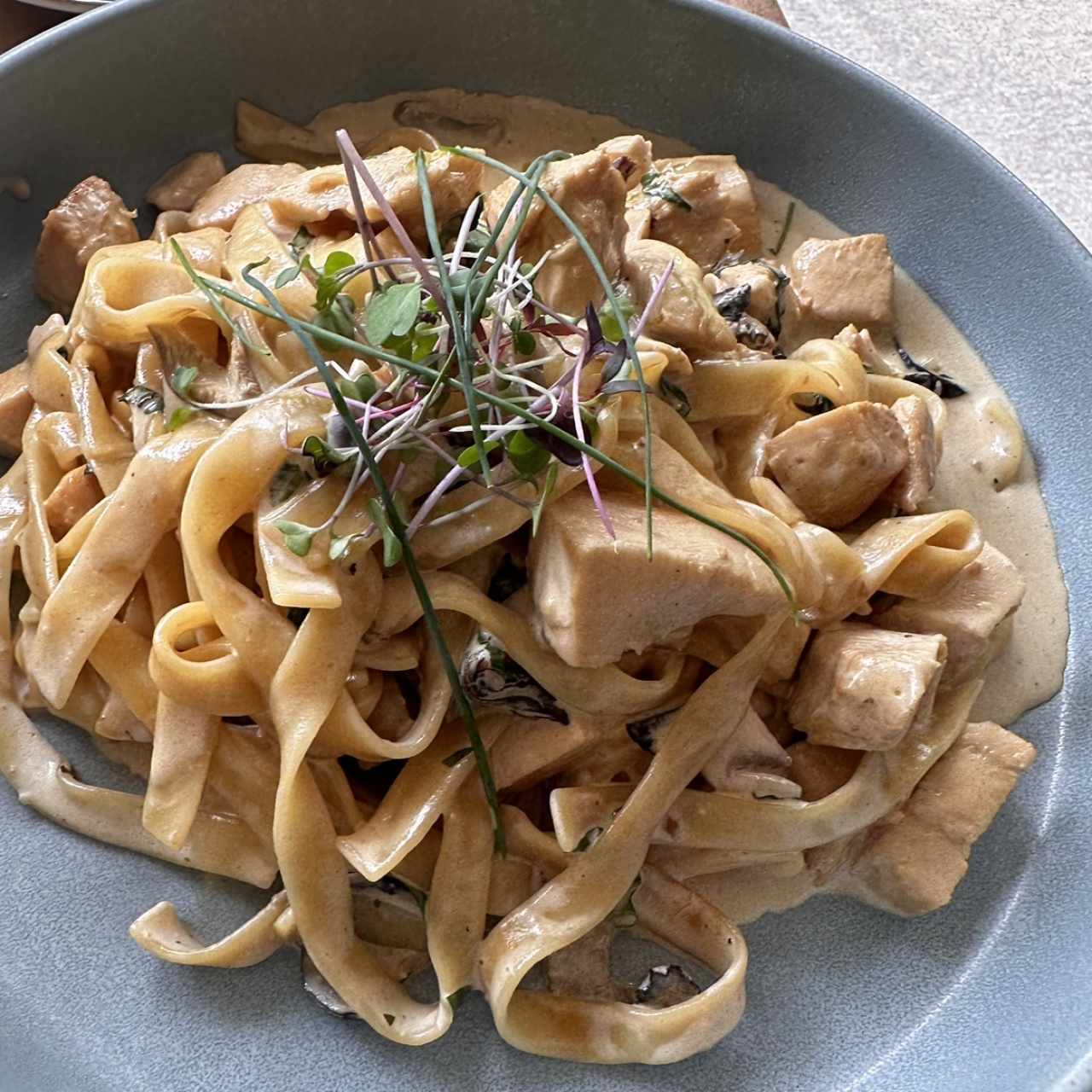 Fettuccine De Pollo Trufado