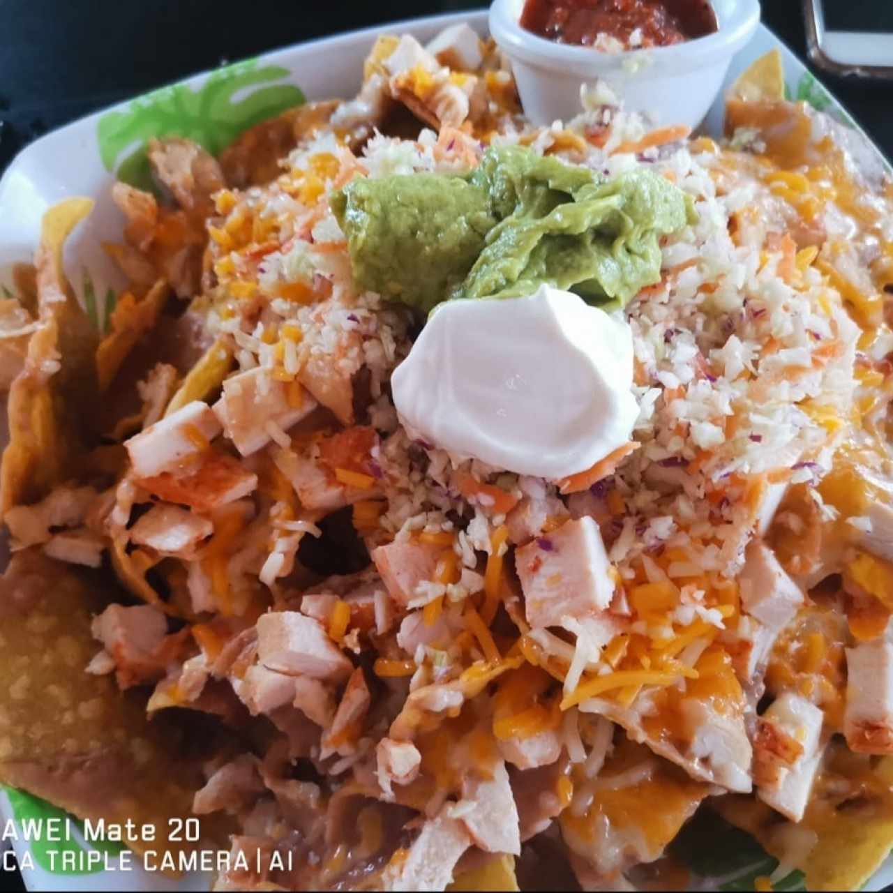 Nachos con Pollo 