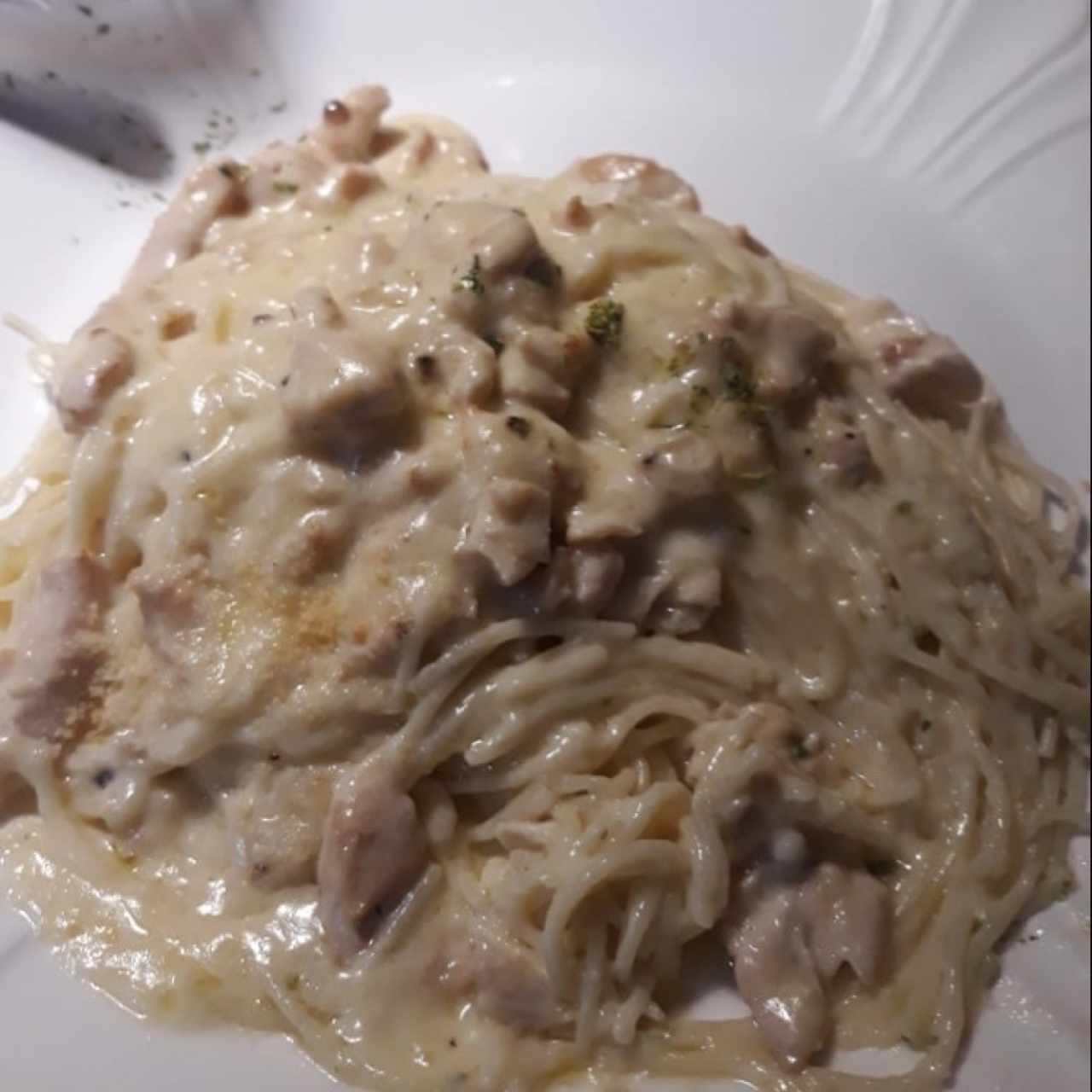 pasta alfredo de pollo