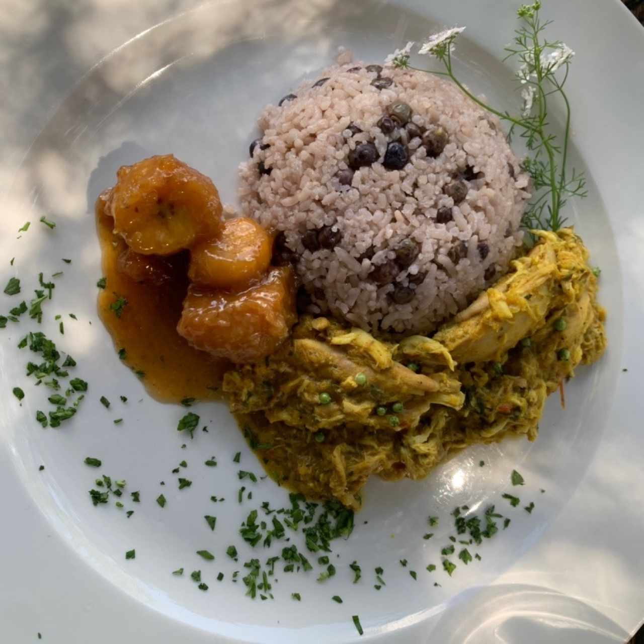 Guiso de gallina con arroz de guandú