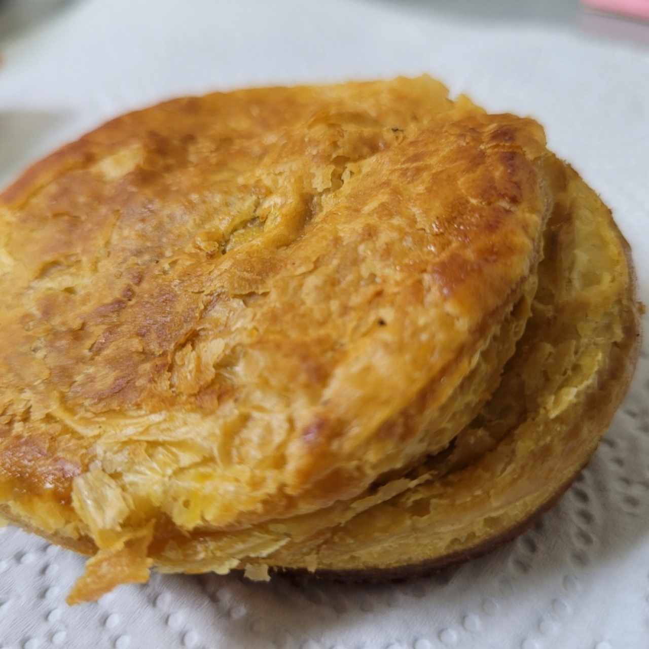 pastelito de carne