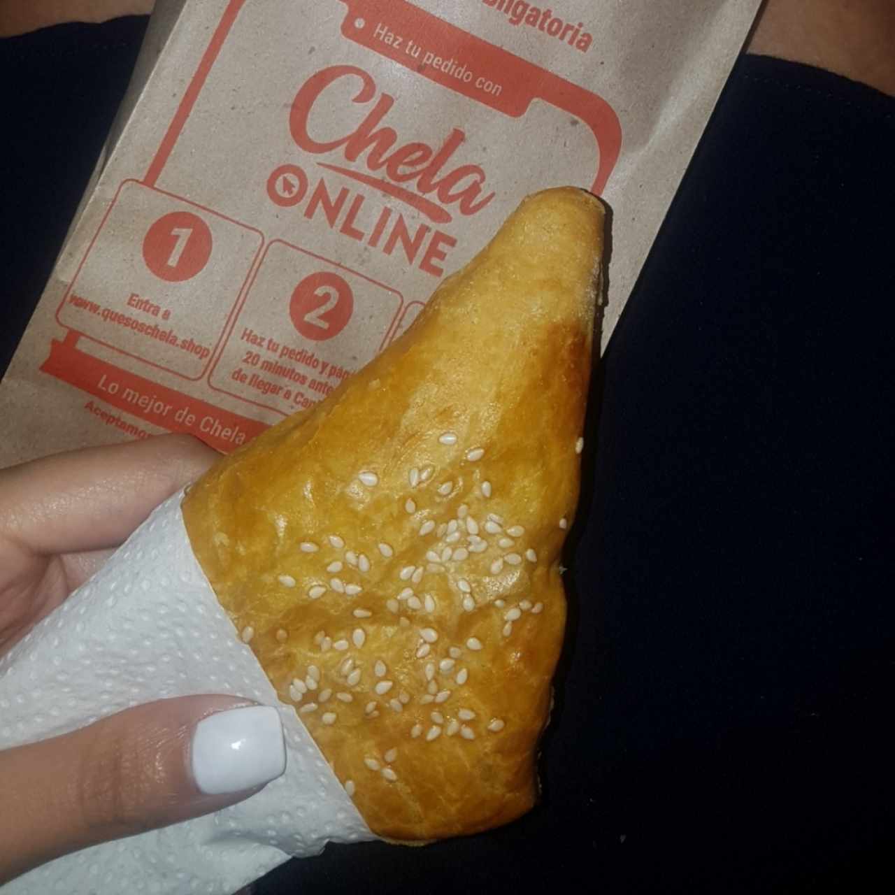 Empanada de pollo