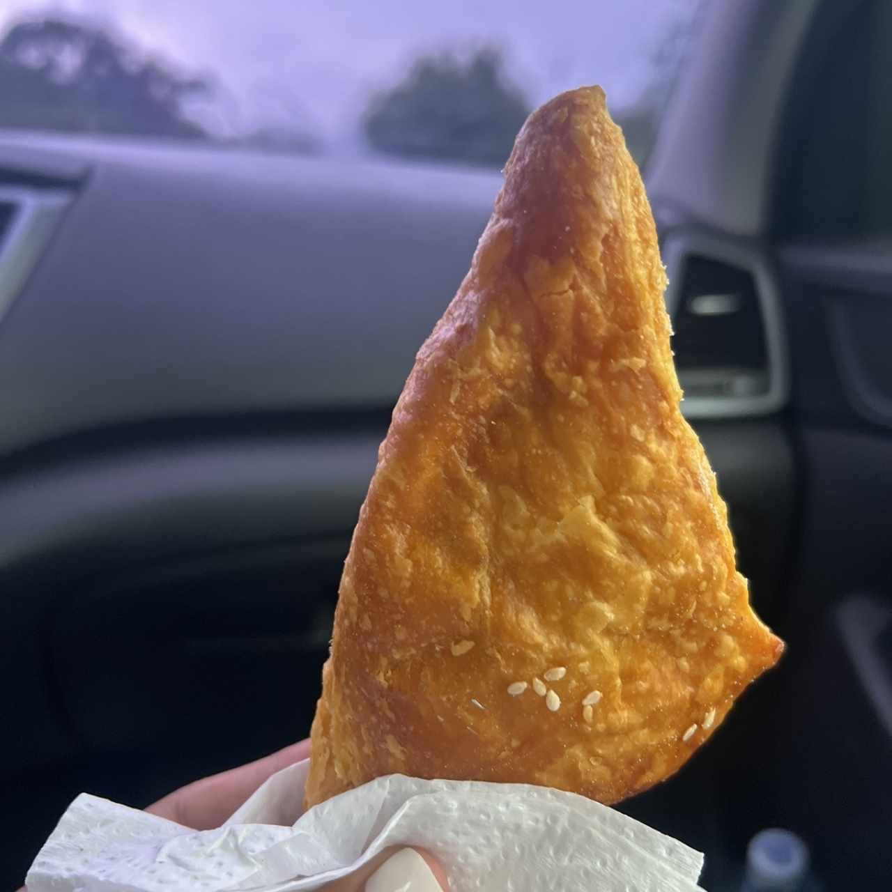 Empanada de pollo