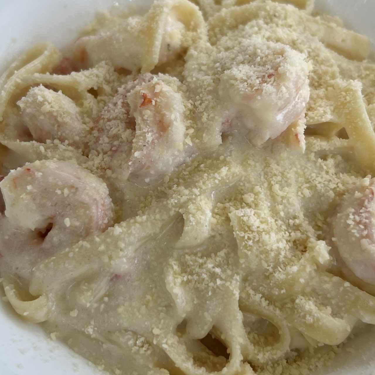 Fettuccine Alfredo con Camarones