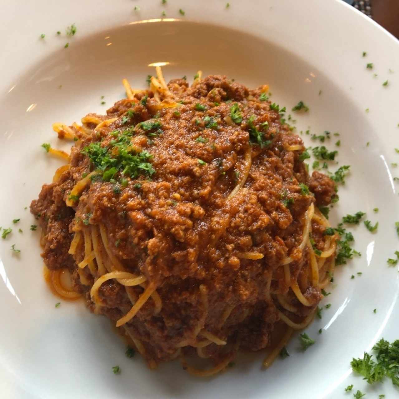 bolognesa 