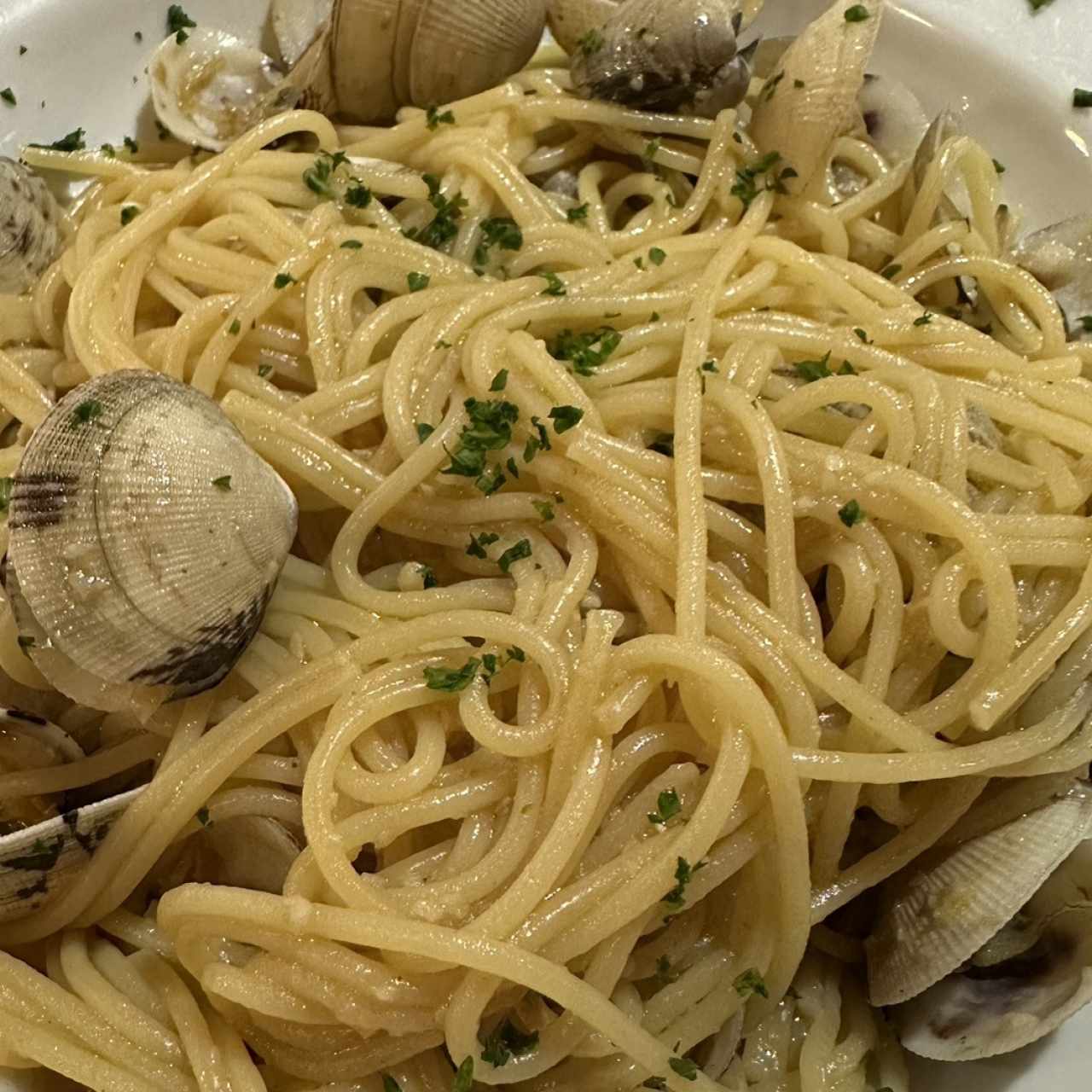 Pastas - Spaghetti con Almejas