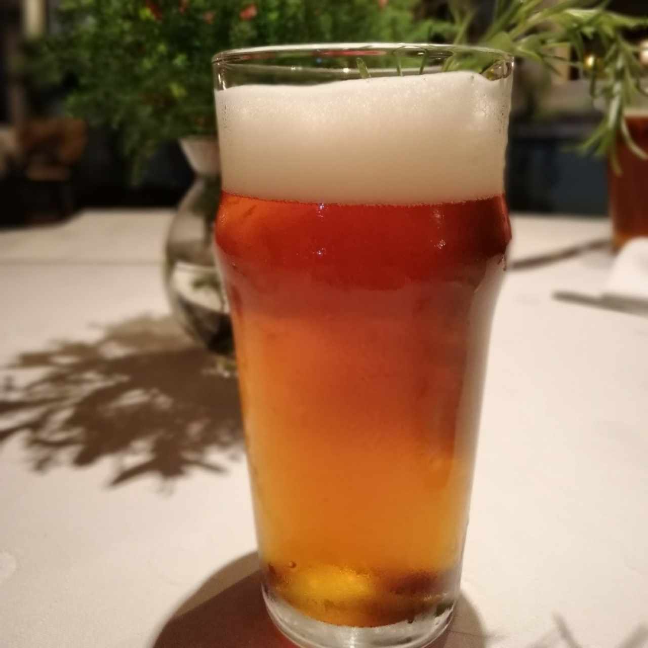 Cerveza artesanal de la casa