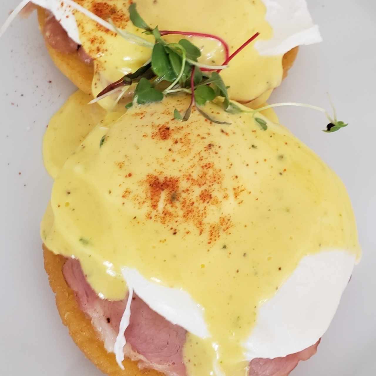 huevos benedicto