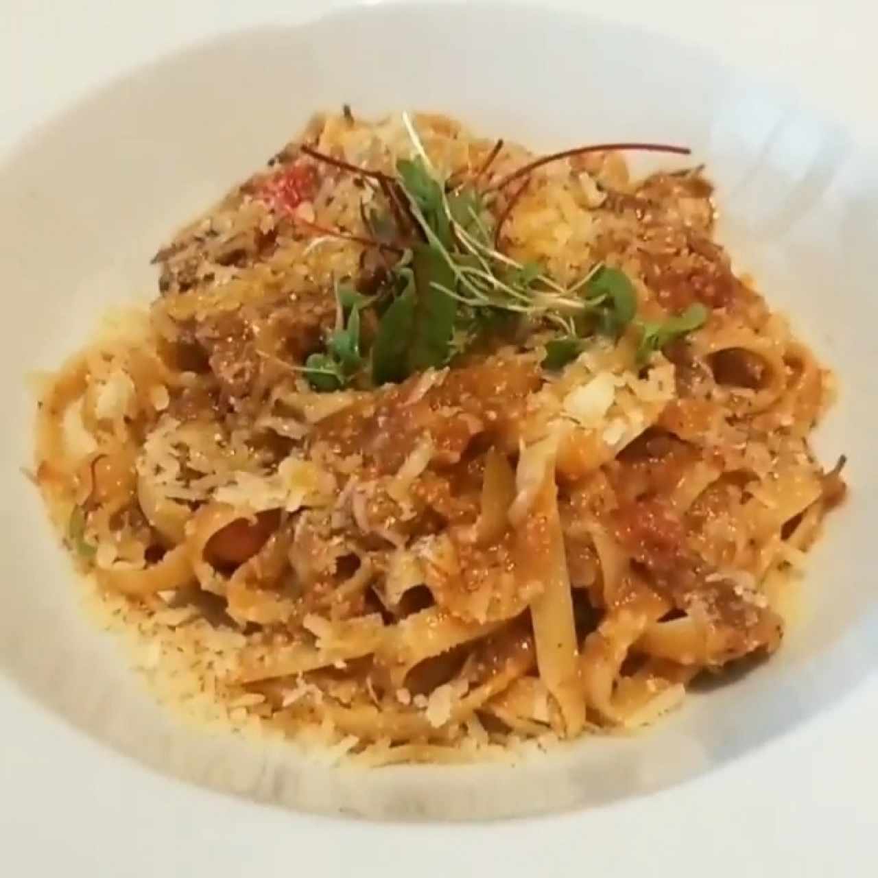 fettucini con ragu de short ribs