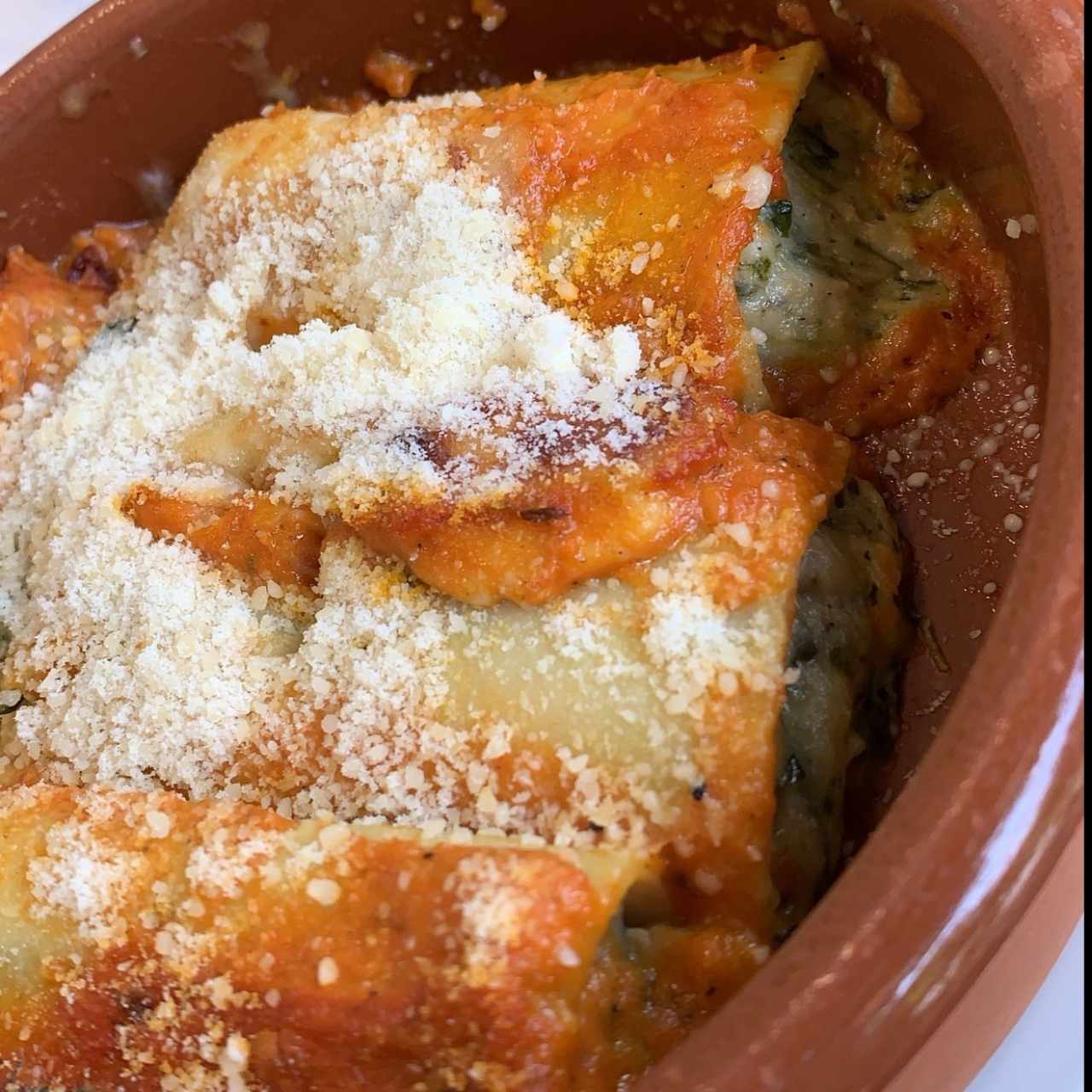 Canelones rellenos de Salmon y espinaca