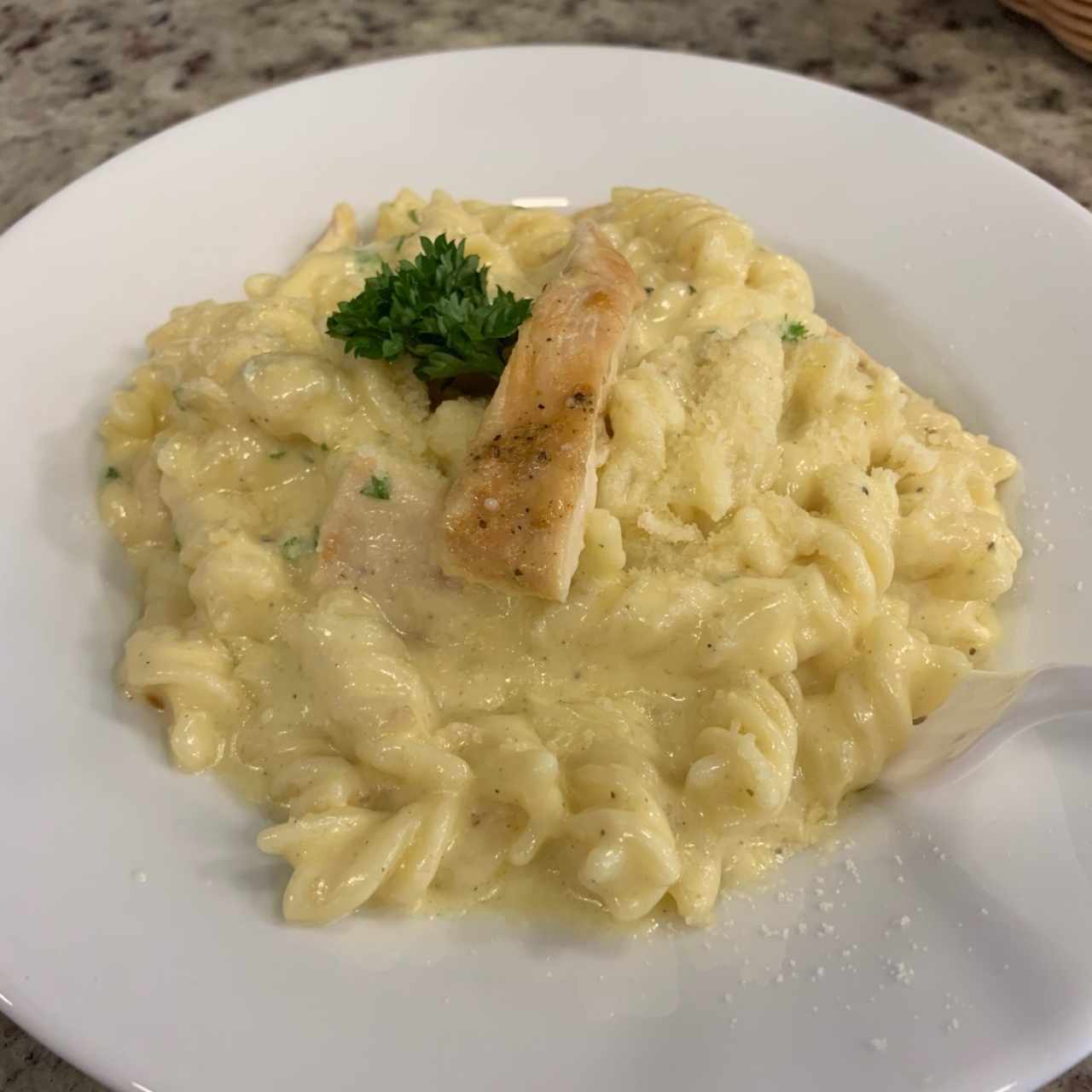 alfredo con pollo