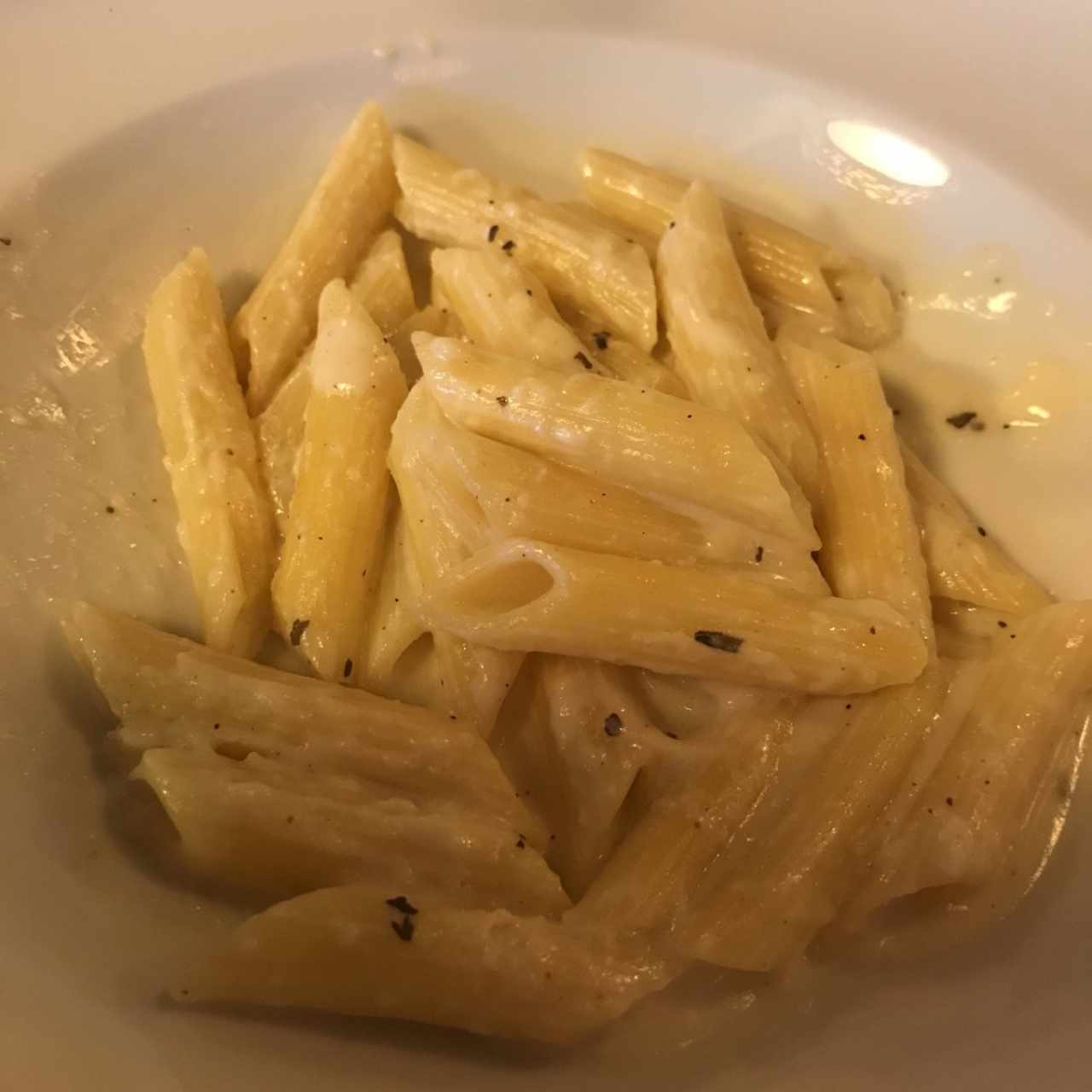 Penne en salsa alfredo