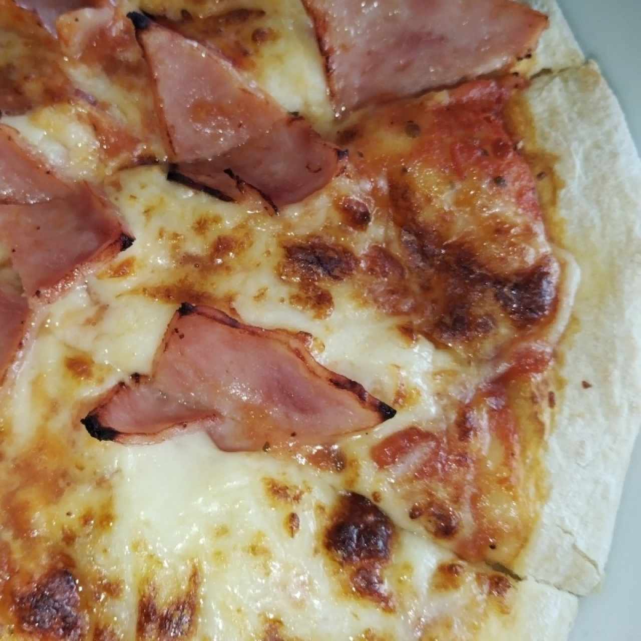 Pizza de Jamón 