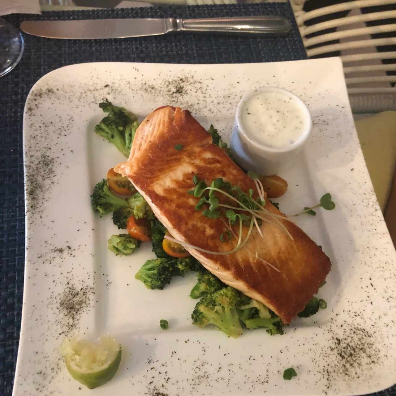 salmon 