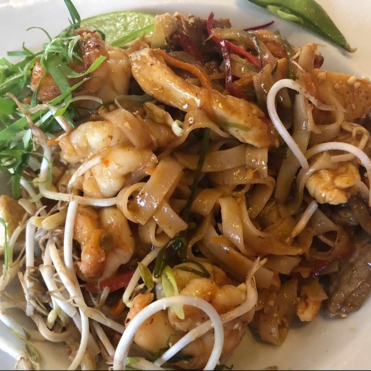 Thai - Pad Thai Mixto