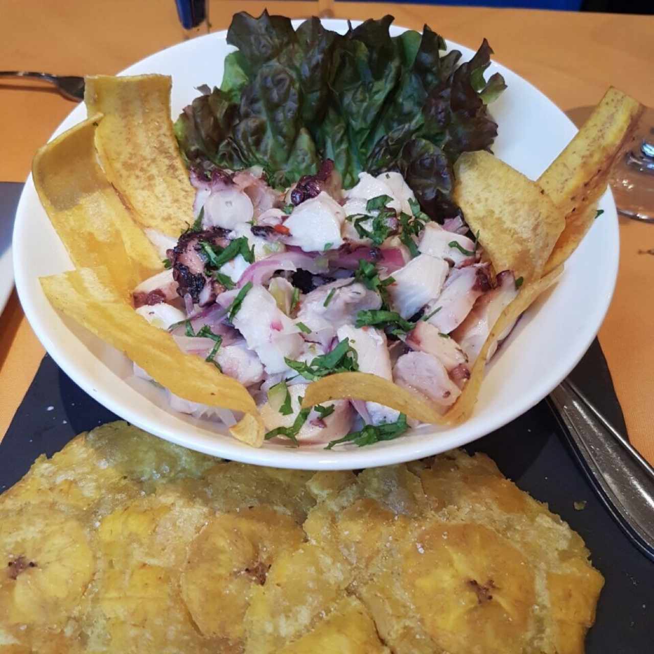 Ceviche Mixto