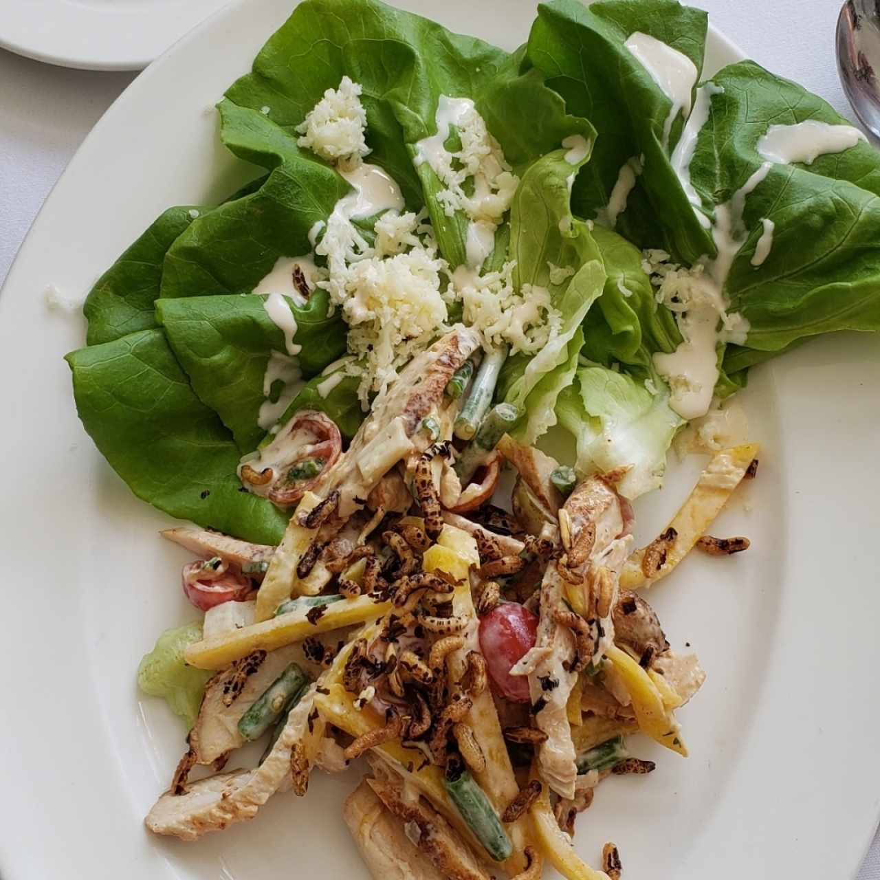 Ensalada de Lechuga de Mantequilla y Pollo