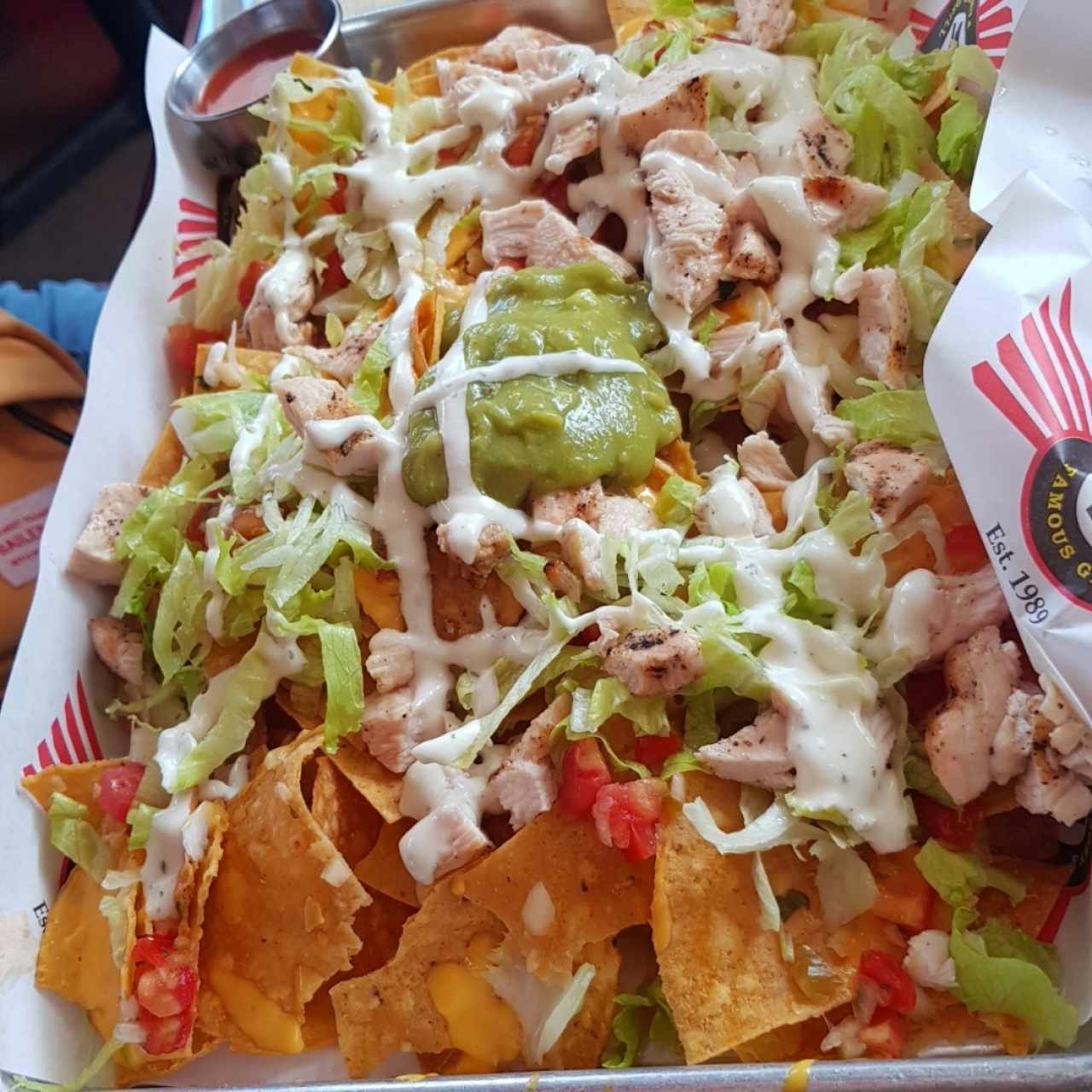 Nachos de pollo 