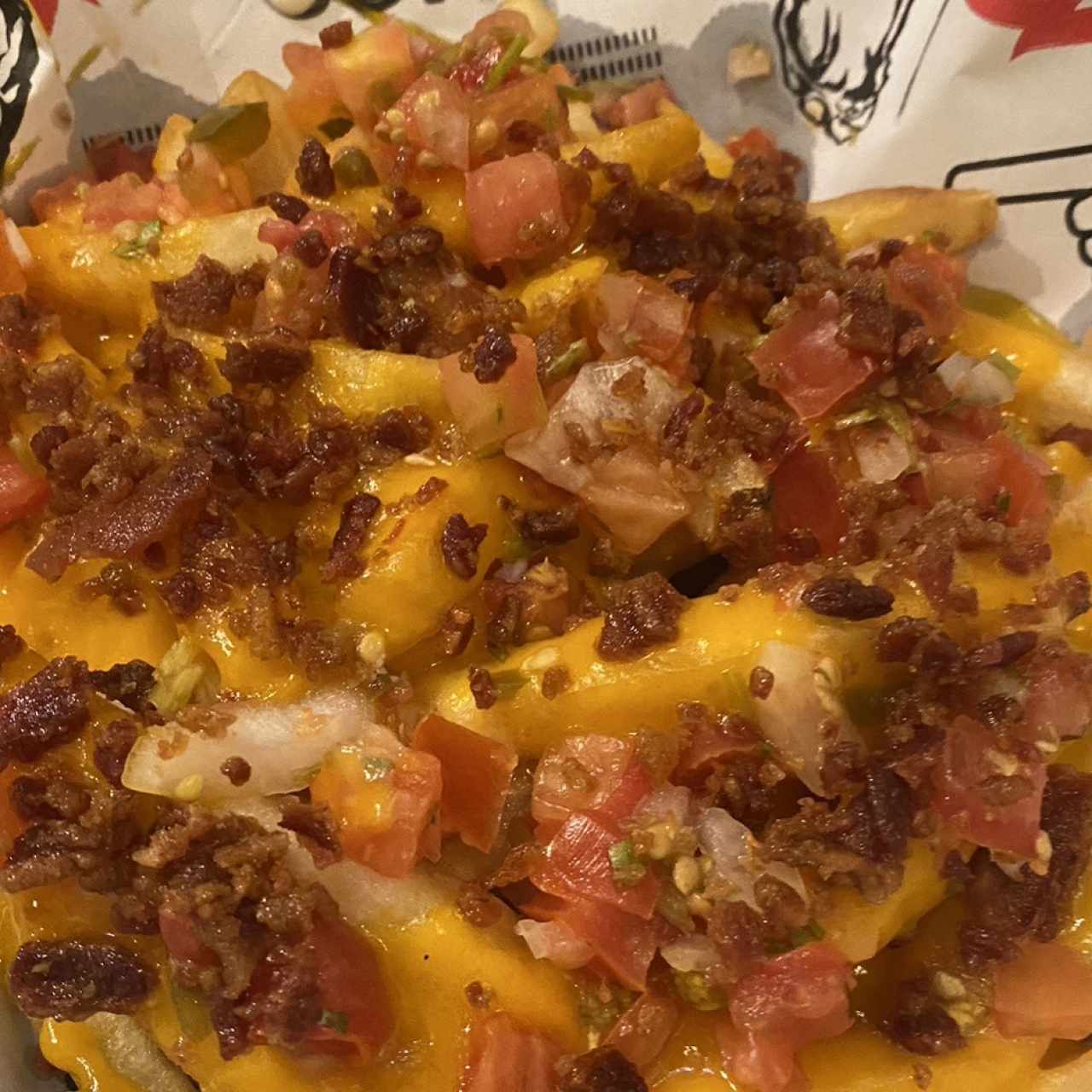 Loaded Cheese and Bacon Fries