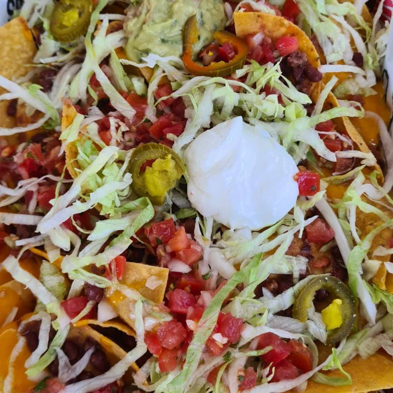 Appetizer - Nachos Machos