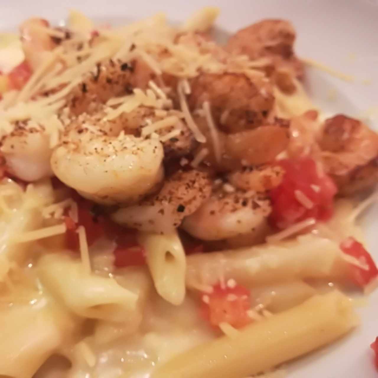 Pastas - Parmesan shrimp pasta