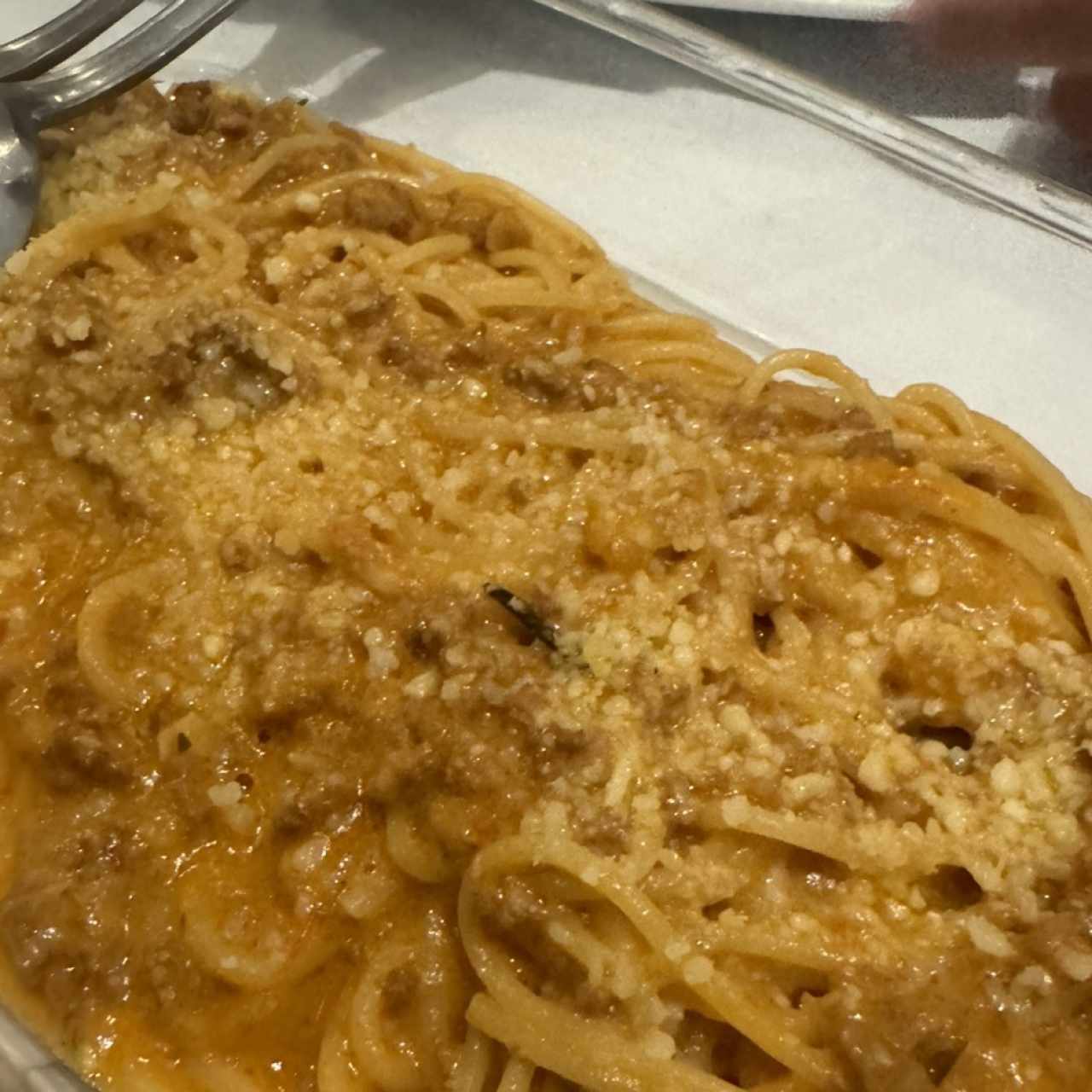 Pasta - Al Pasticcio Bolognese