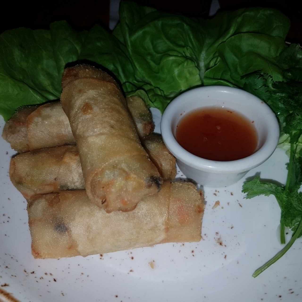 Dim Sum - Spring Rolls