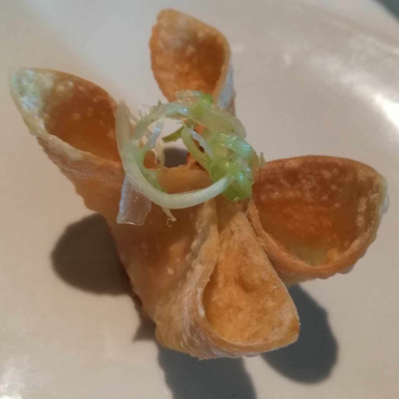 crab wonton