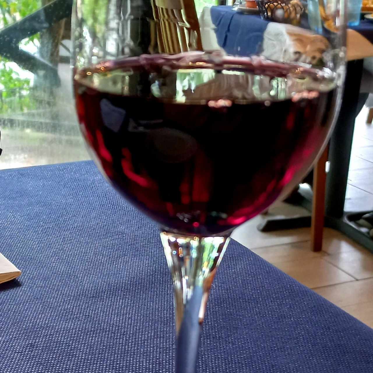 Copa de vino 