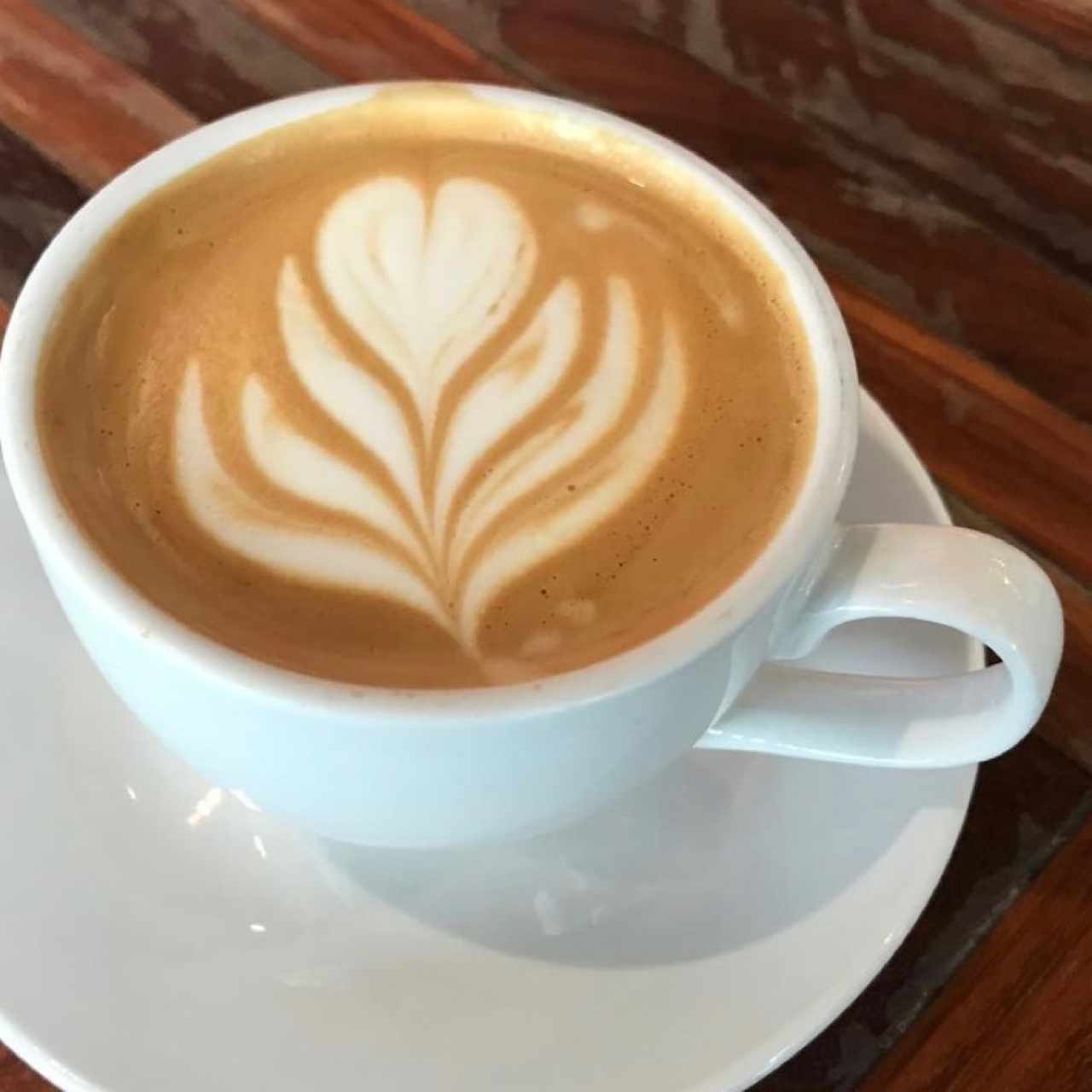 capuccino