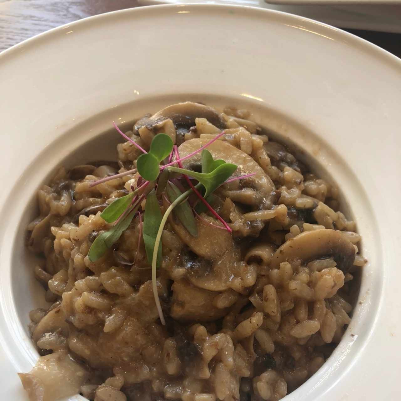 risotto de hongos