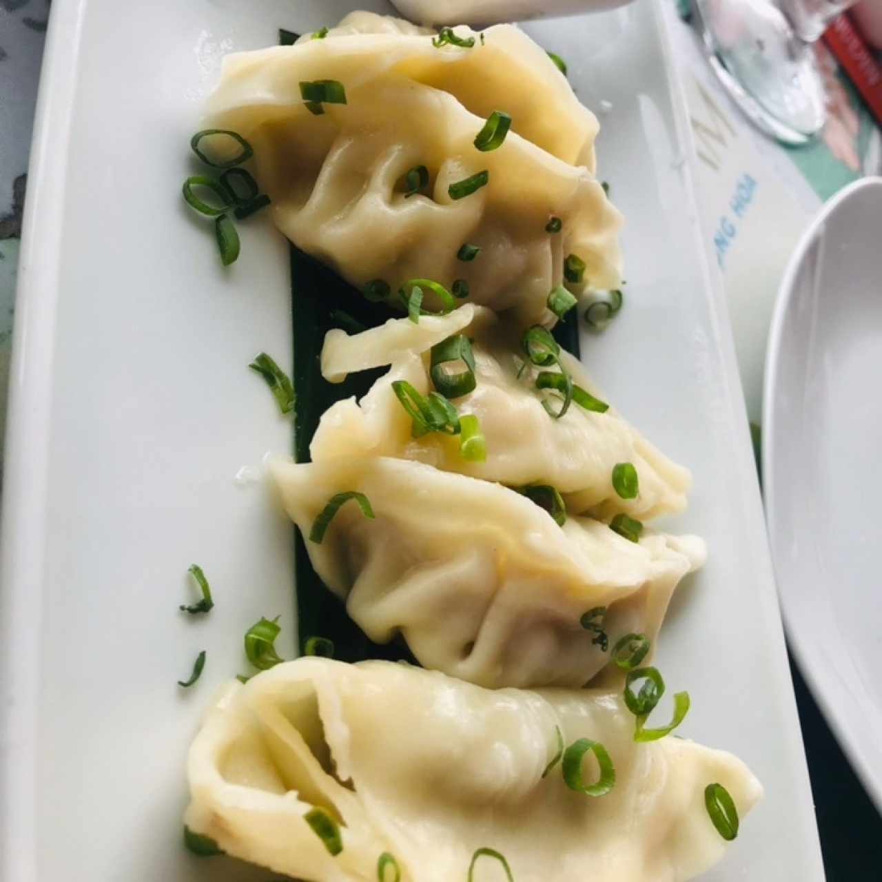 Tentadoras Entradas - Gyozas de Pollo