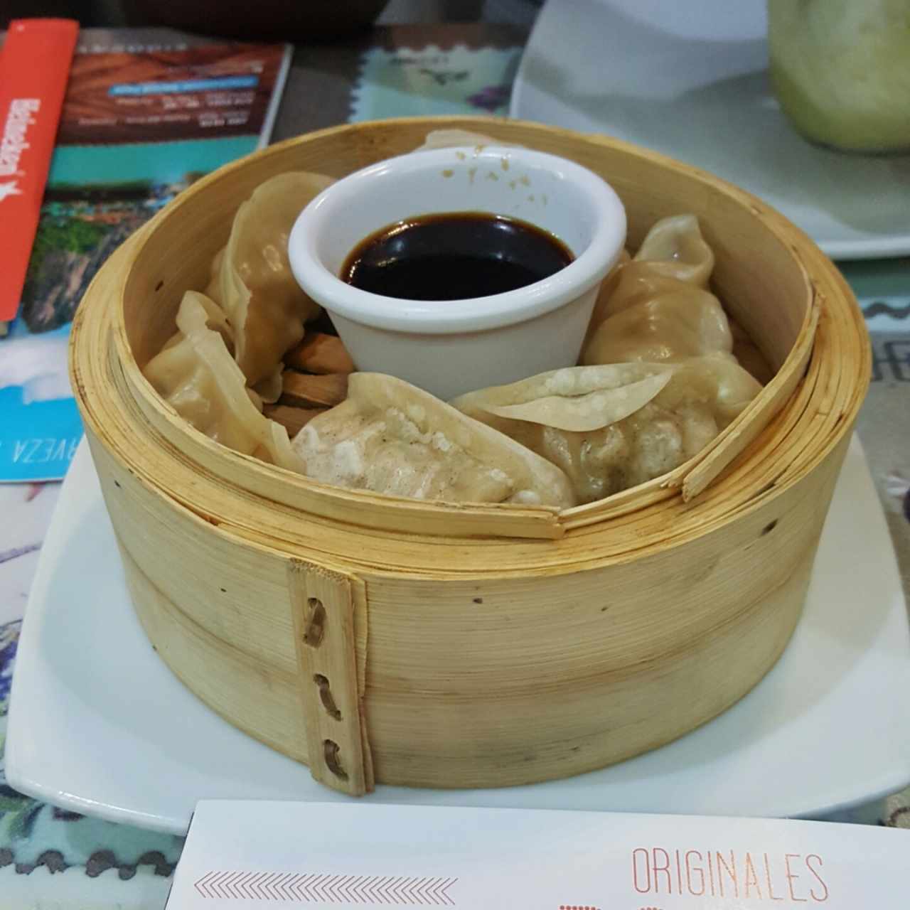 Gyozas de Combinacion