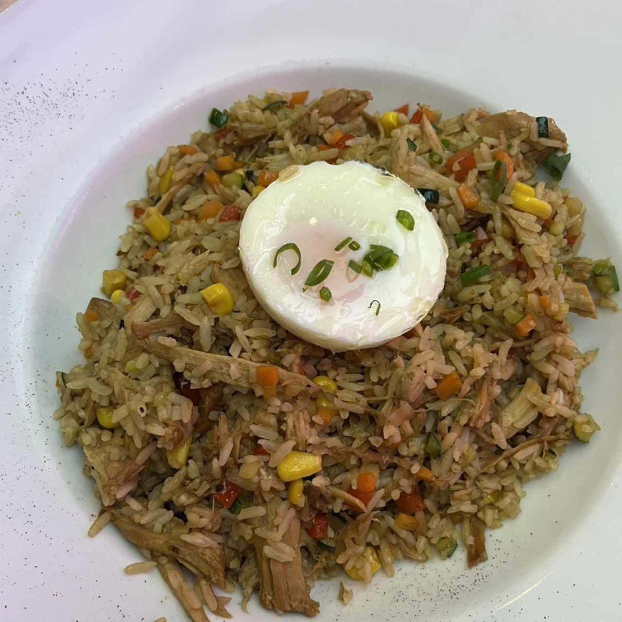 Arroz Cantonés con Cerdo