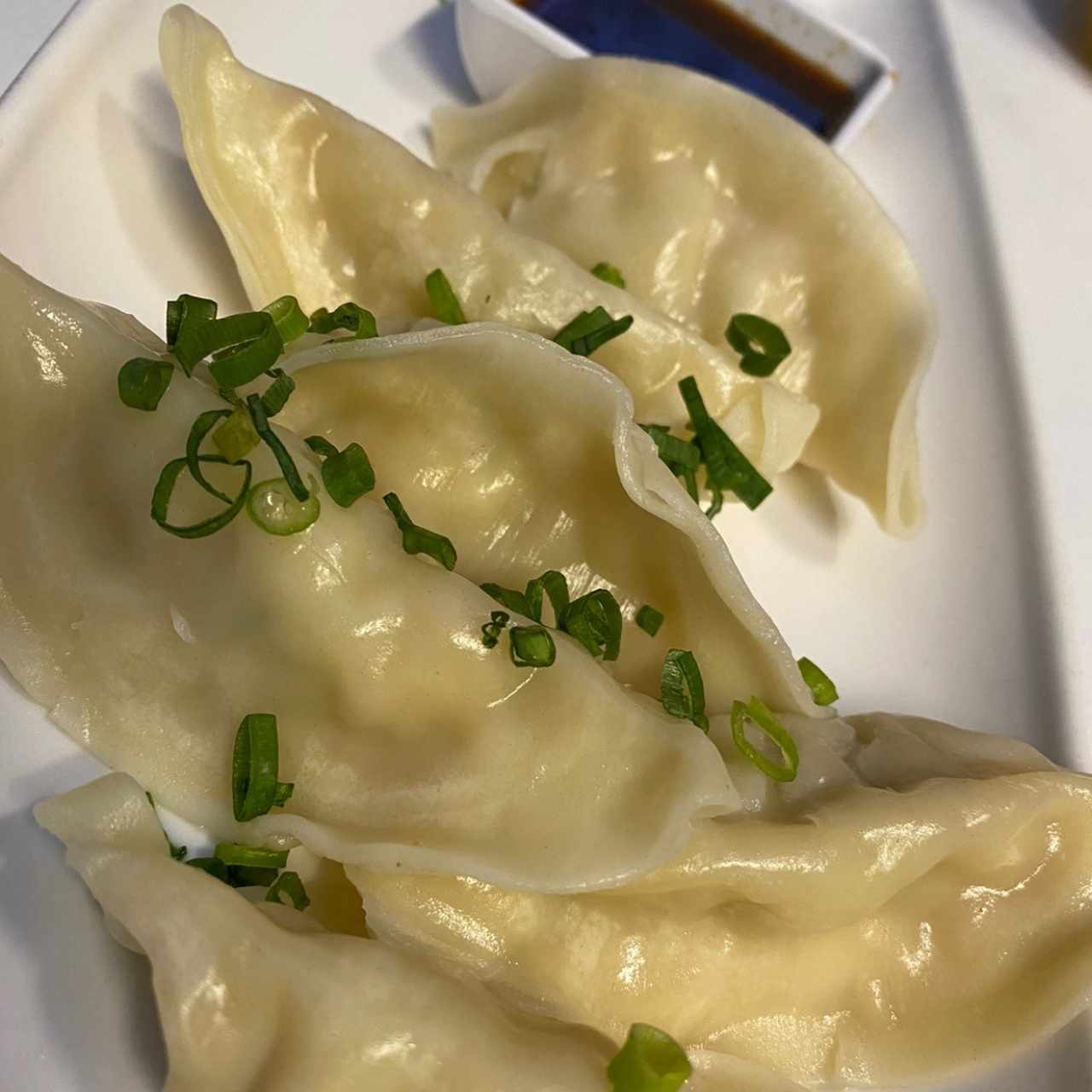 Tentadoras Entradas - Gyozas Mixtas