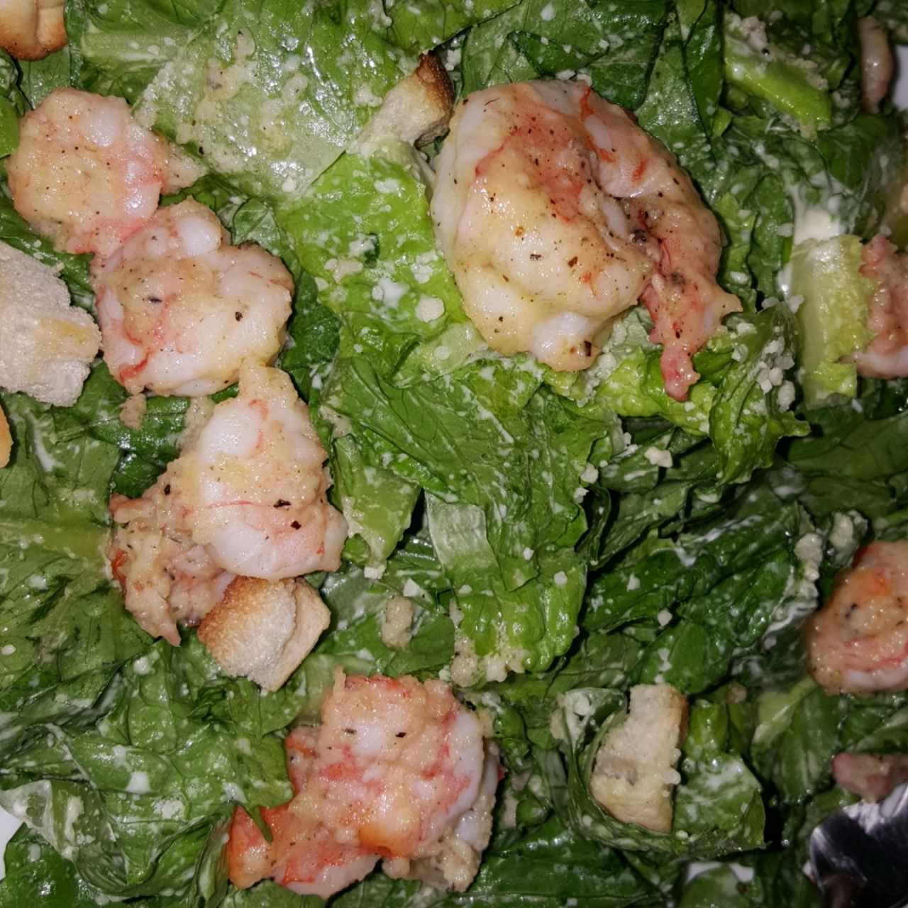 ensalada cesar con camarones 