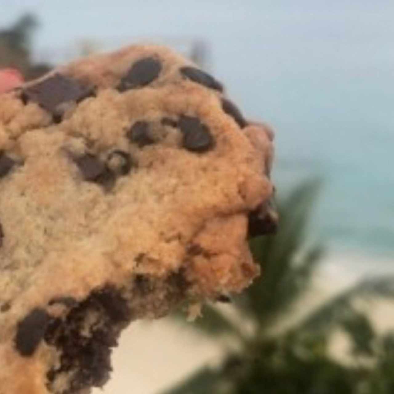 galleta de chocolate chips con brownie