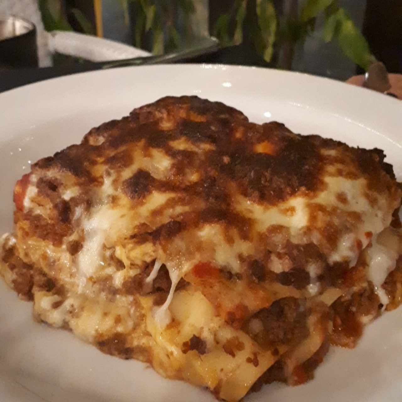 Lasagna gratinada