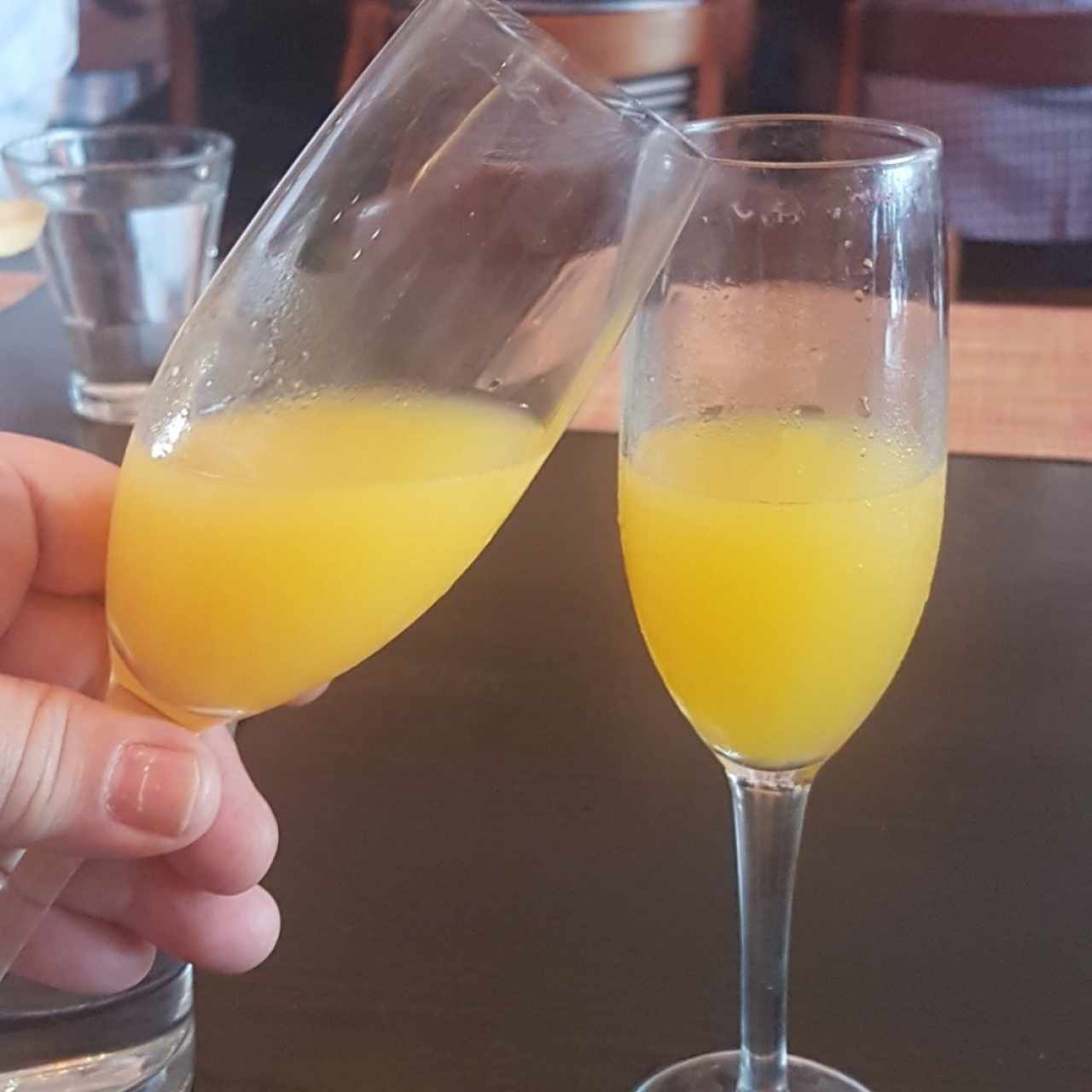 mimosa