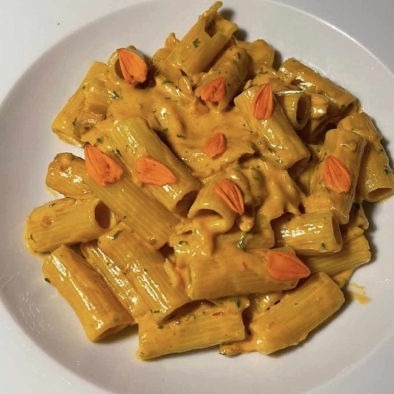 Rigatoni al salmón