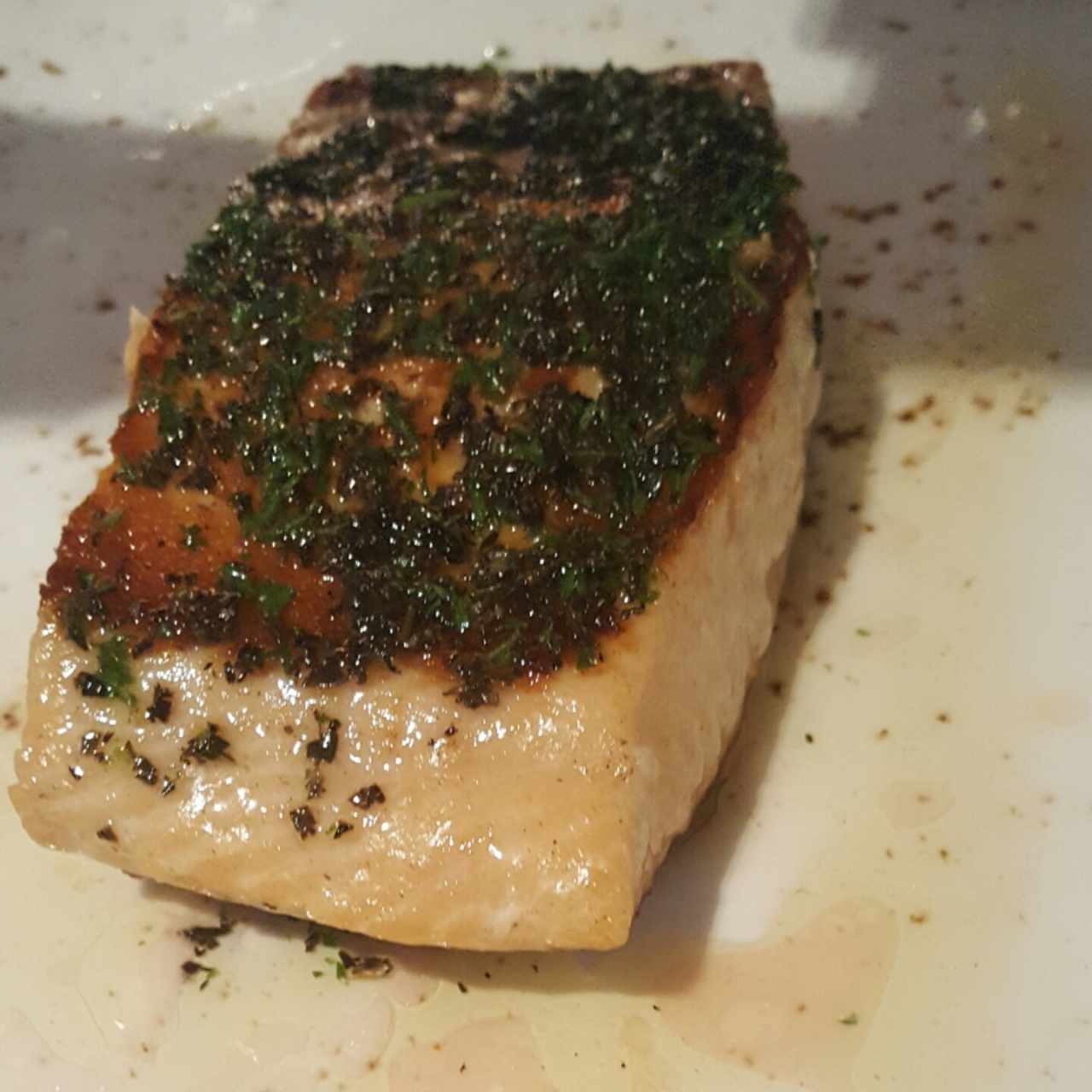 salmon