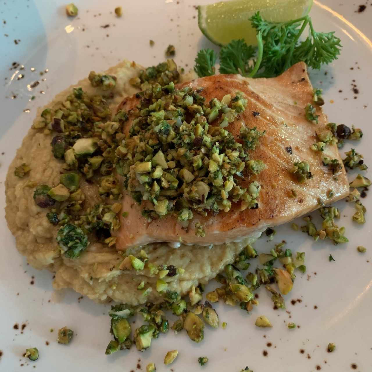 Corvina con humus y pistacho