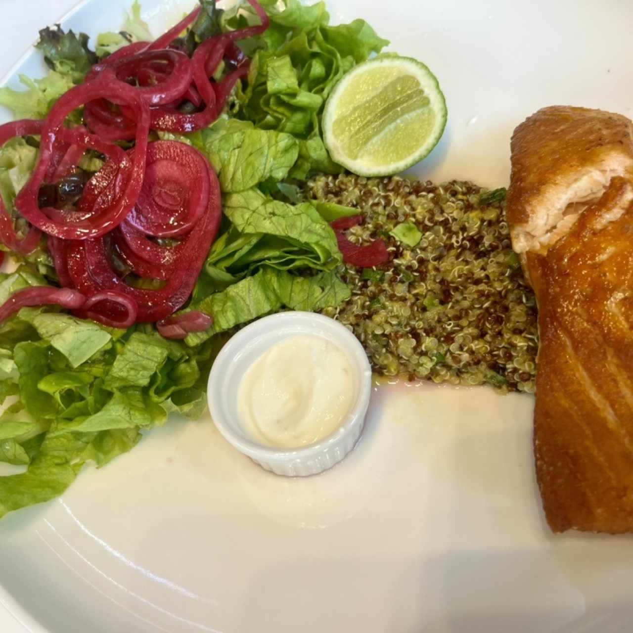 Salmon 