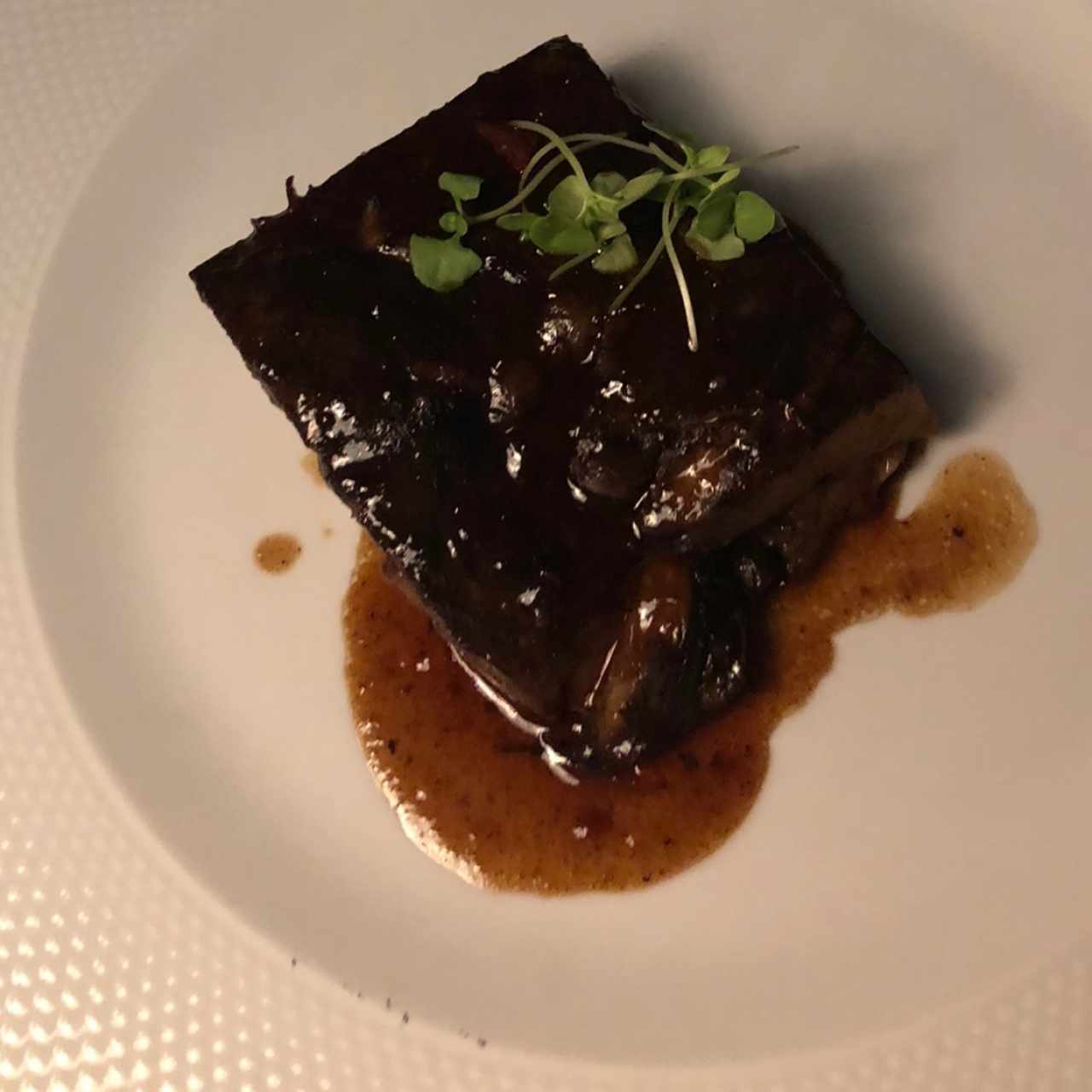 Short Rib