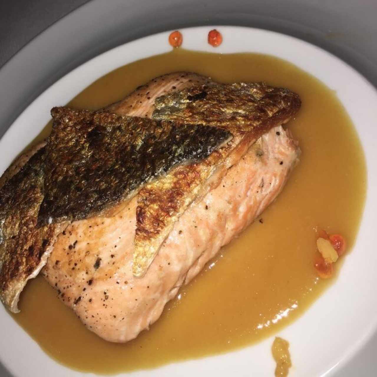 salmon unilatera