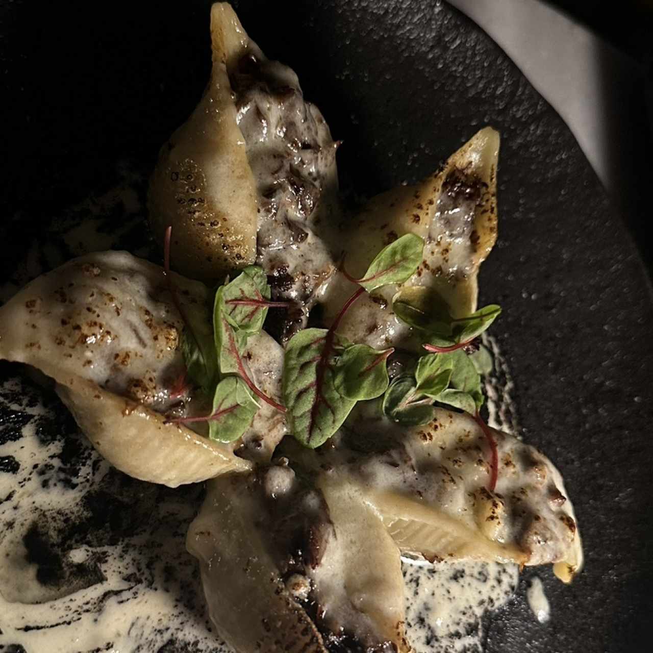 Conchiglioni de Shortrib